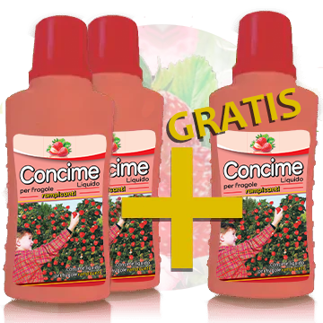 2 + 1 Concime liquido per fragole rampicanti
